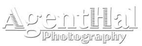 AGENTHAL PHOTOGRAPHY